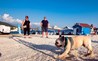Monty’s Dog Beach & Bar -  plaža za pse thumb 16
